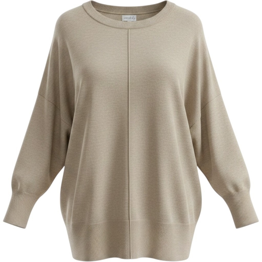 Wonderly Womens 1X Tan Beige Crew Neck Dolman Sleeve High Low Sweater RN31104